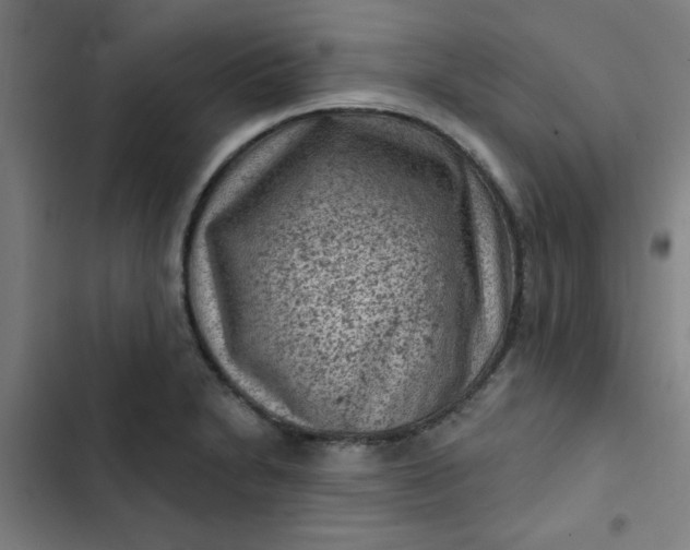 X0000102461230200808221611