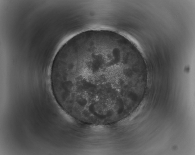 X0000102461231200808221611