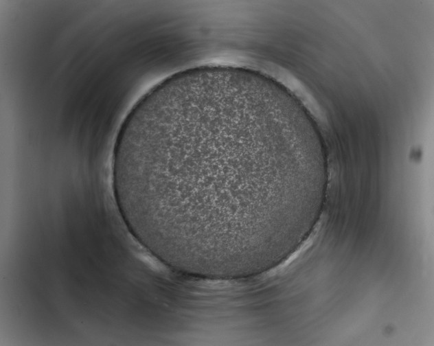 X0000102461232200808221611