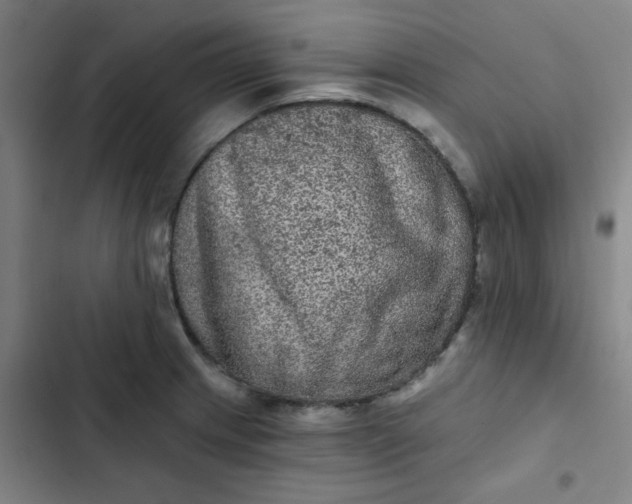 X0000102461233200808221611