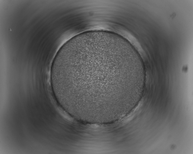 X0000102461234200808221611