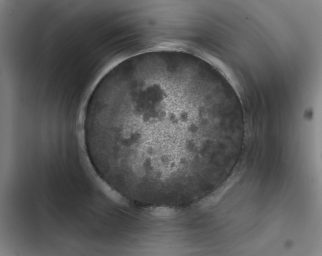 X0000102461235200808221611