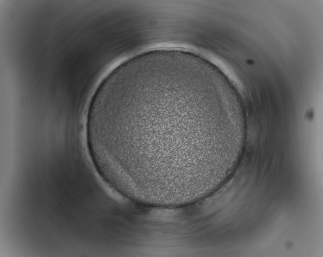 X0000102461237200808221611