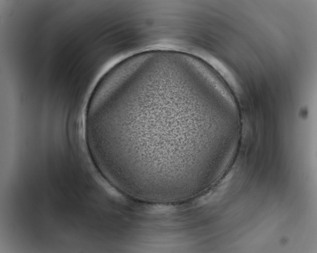 X0000102461238200808221611