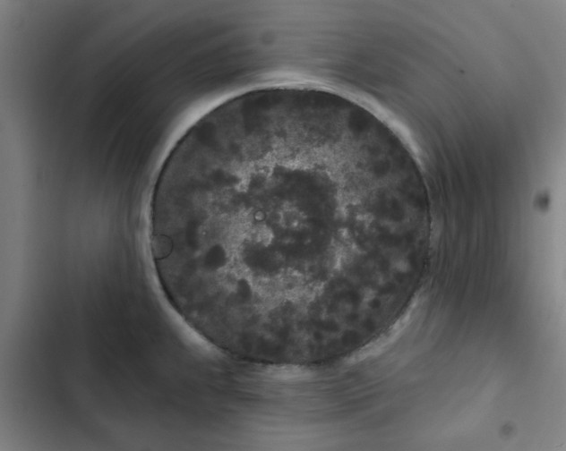 X0000102461239200808221611