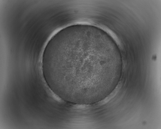 X0000102461240200808221611