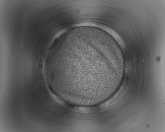 X0000102461241200808221611