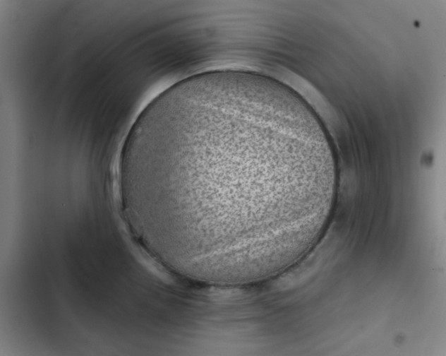 X0000102461242200808221611