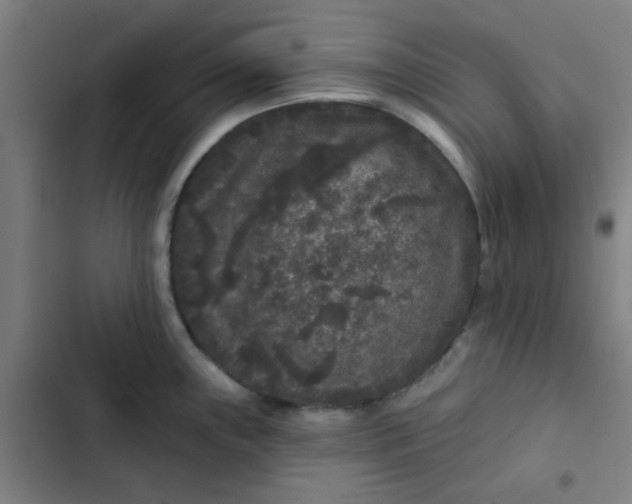 X0000102461243200808221611