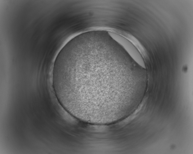 X0000102461244200808221611