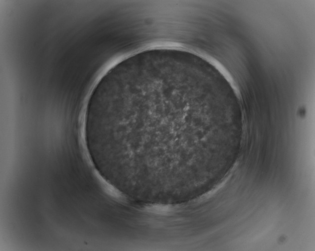 X0000102461245200808221612