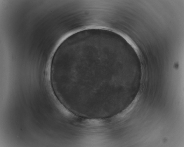 X0000102461246200808221612