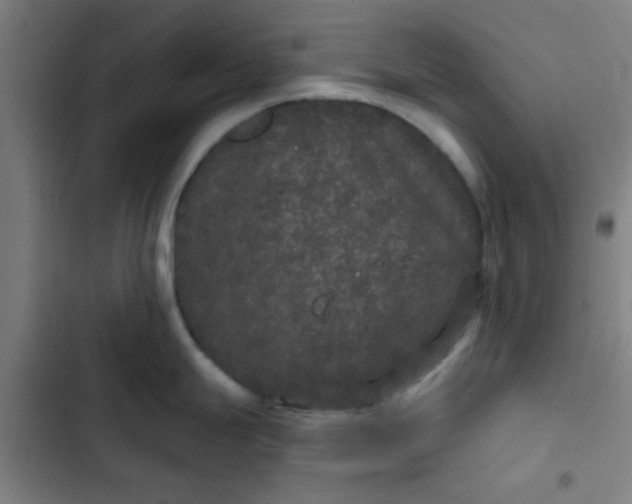 X0000102461247200808221612