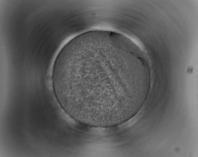 X0000102461248200808221612