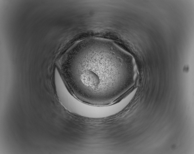 X0000102461249200808221611