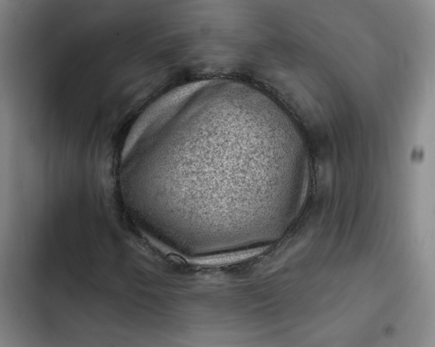 X0000102461250200808221611