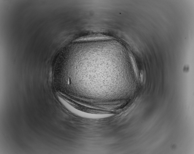 X0000102461251200808221611