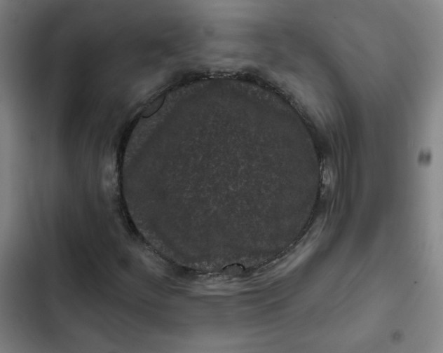 X0000102461252200808221611