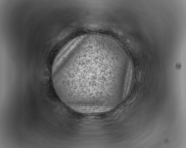 X0000102461253200808221611