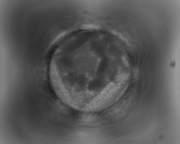 X0000102461254200808221611