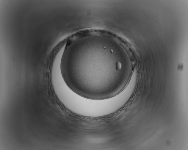 X0000102461255200808221611