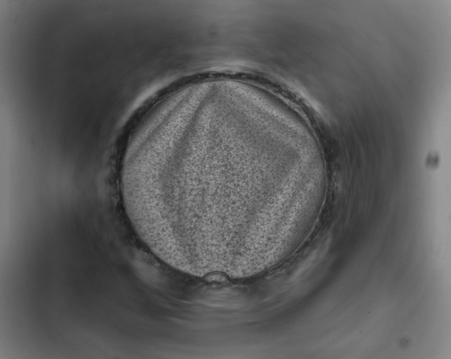 X0000102461256200808221611