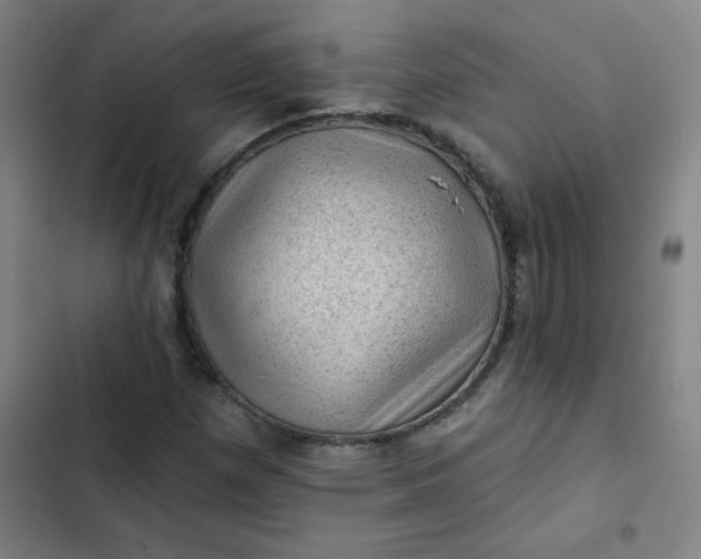 X0000102461257200808221611