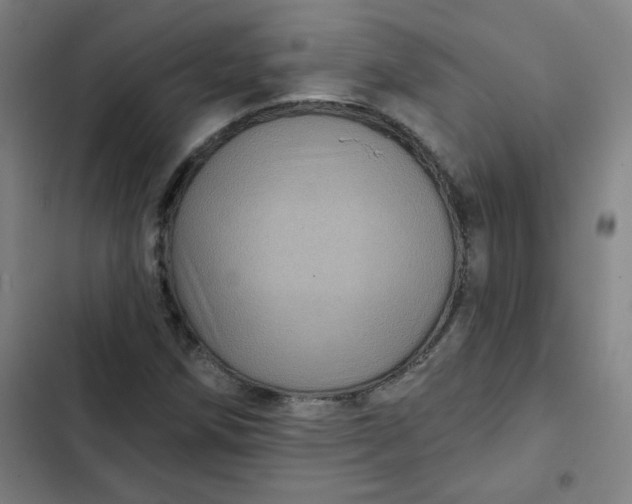 X0000102461258200808221611