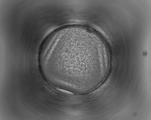 X0000102461259200808221611