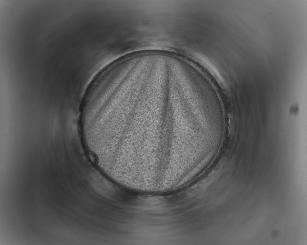 X0000102461260200808221610