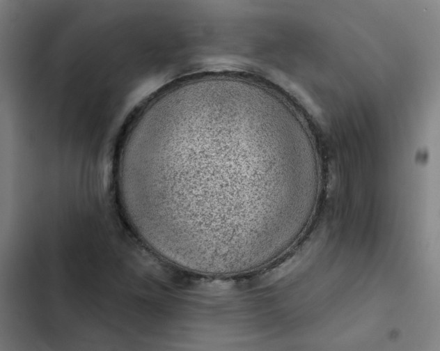 X0000102461261200808221610