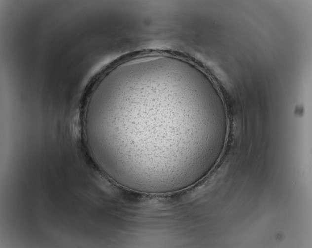 X0000102461262200808221610