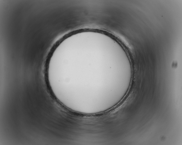 X0000102461264200808221610