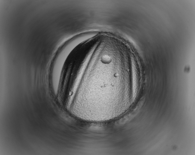 X0000102461267200808221610