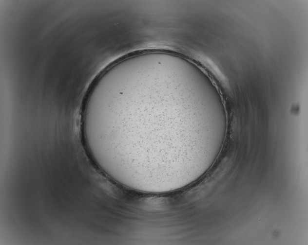 X0000102461268200808221610