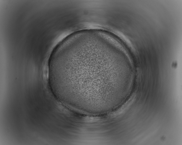 X0000102461269200808221610