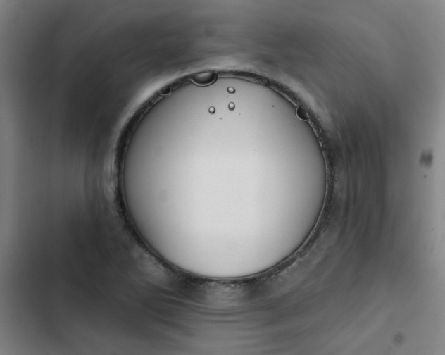 X0000102461270200808221610