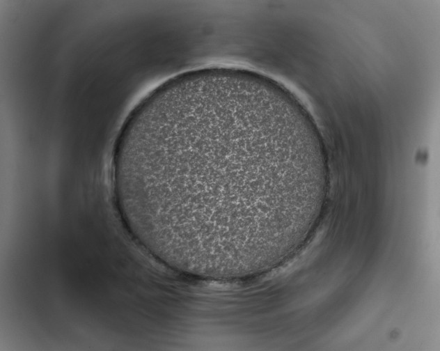 X0000102461271200808221610