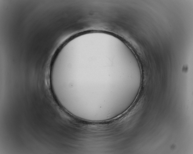 X0000102461272200808221610