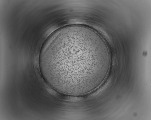 X0000102461273200808221610