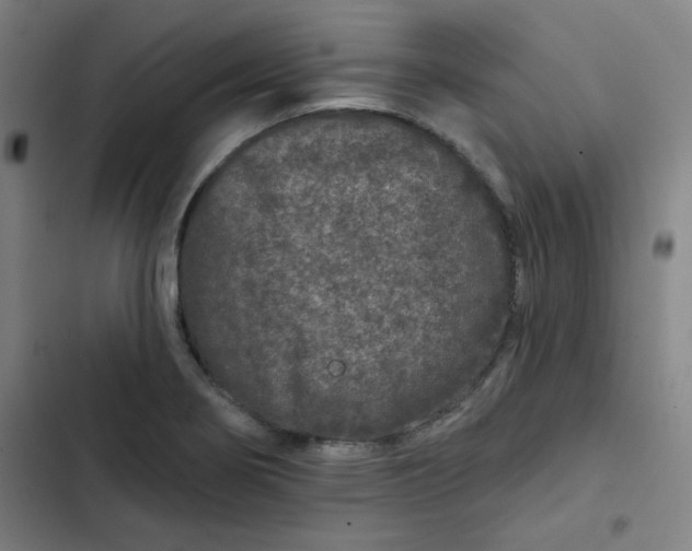 X0000102461274200808221610