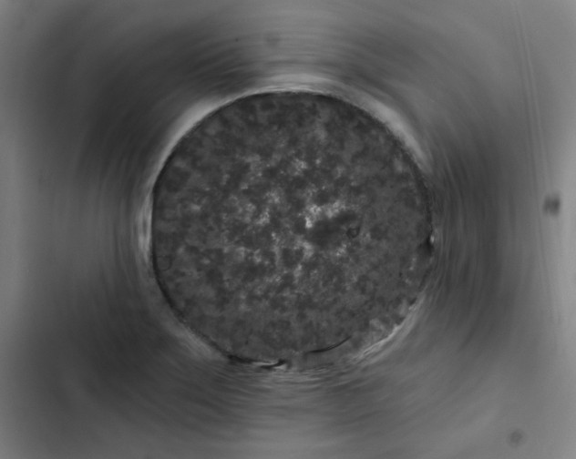 X0000102461275200808221610