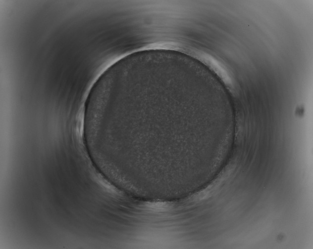 X0000102461276200808221610