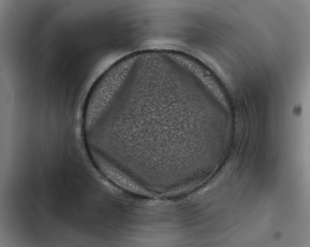 X0000102461277200808221610