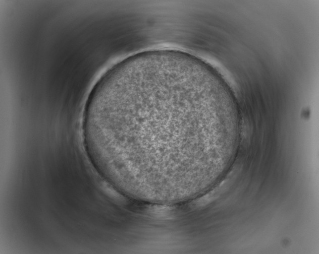 X0000102461278200808221610