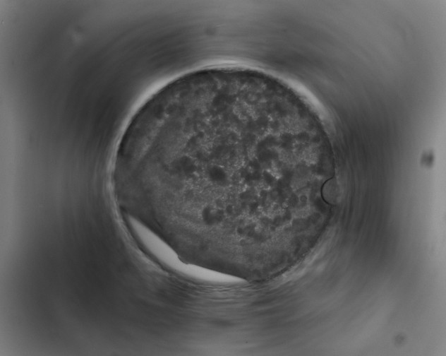 X0000102461279200808221610