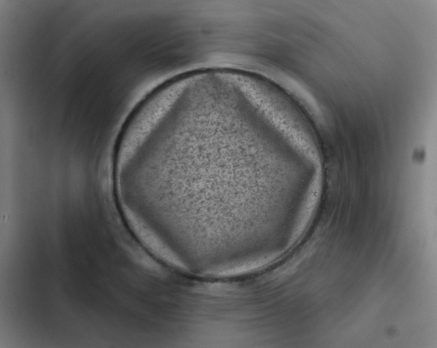 X0000102461280200808221610