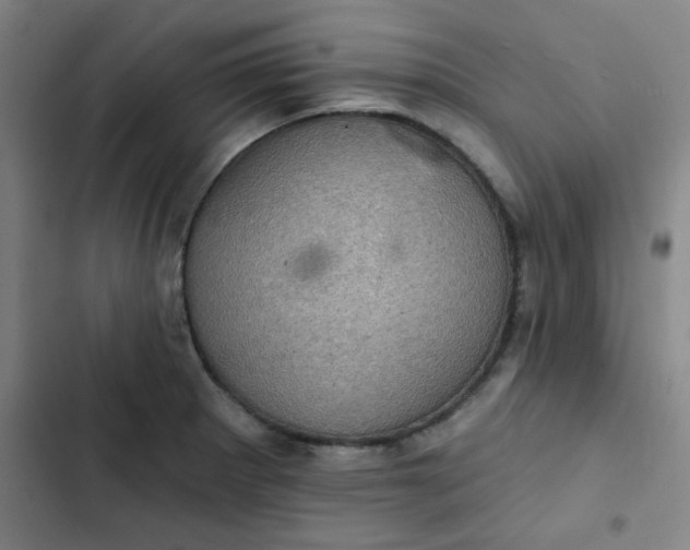 X0000102461281200808221610