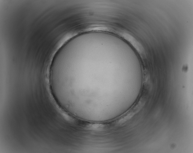 X0000102461282200808221610