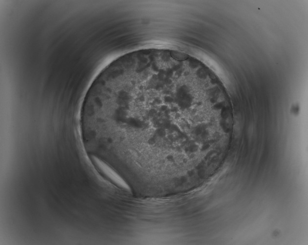 X0000102461283200808221610